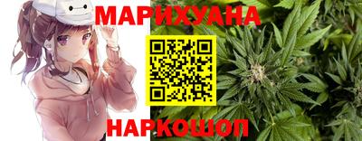 сатива Комсомольск-на-Амуре