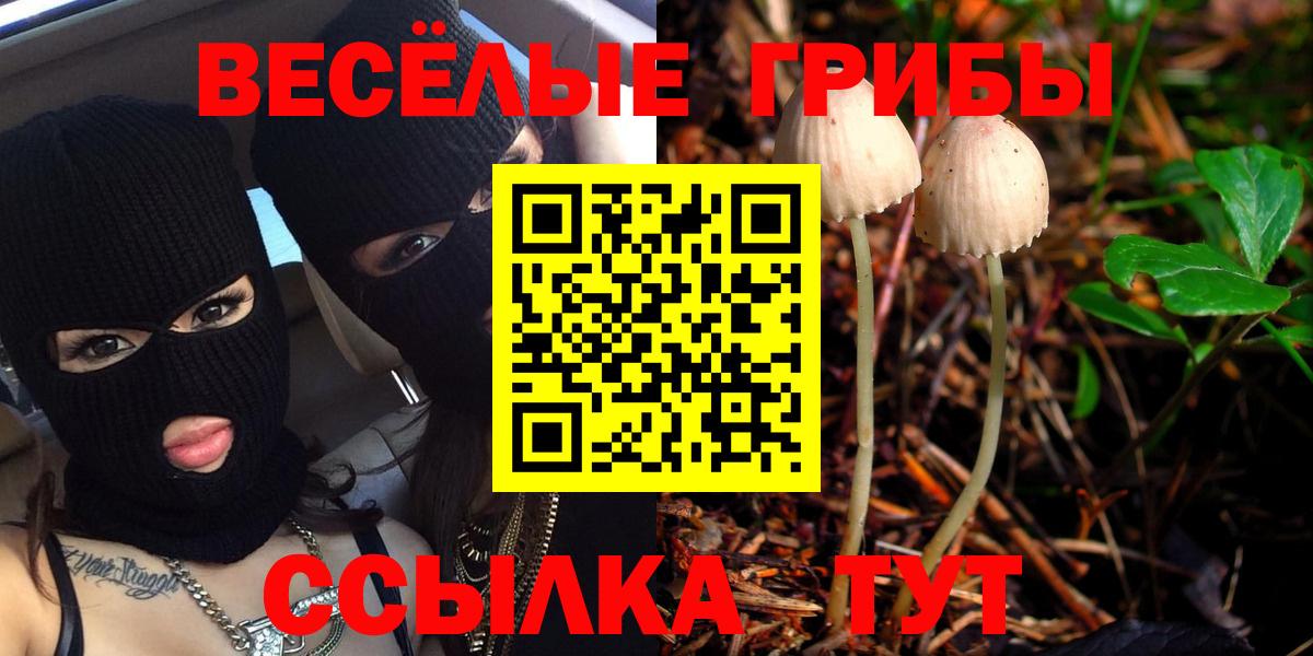 Псилоцибиновые грибы MAGIC MUSHROOMS  Вход с VPN  Псилоцибиновые грибы MAGIC MUSHROOMS  купить закладку  Кстово 