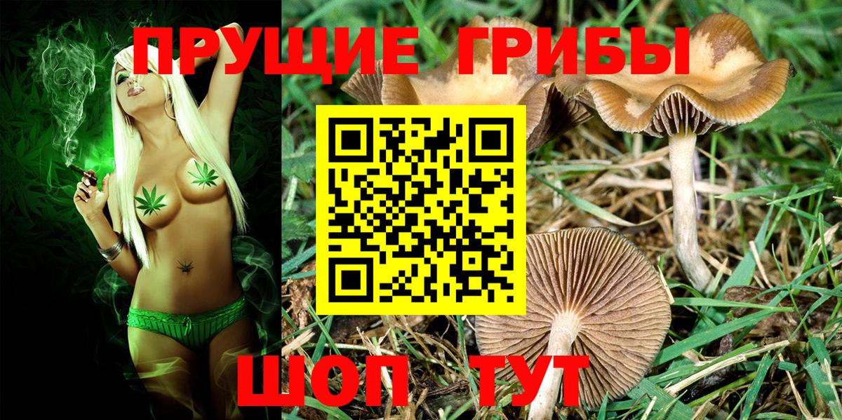 Псилоцибиновые грибы ЛСД Кстово